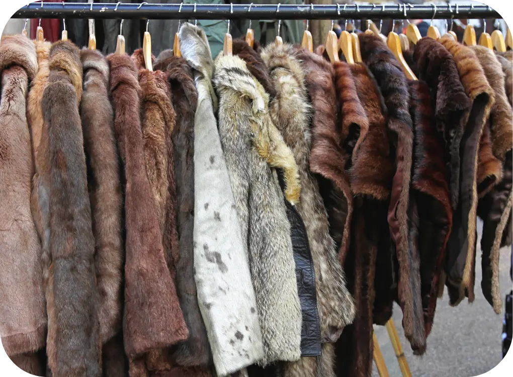 Ankauf von Pelz in Wien
